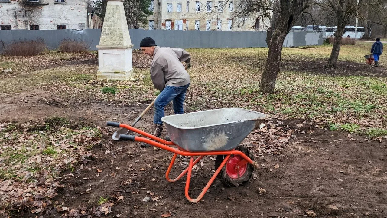 Картинка