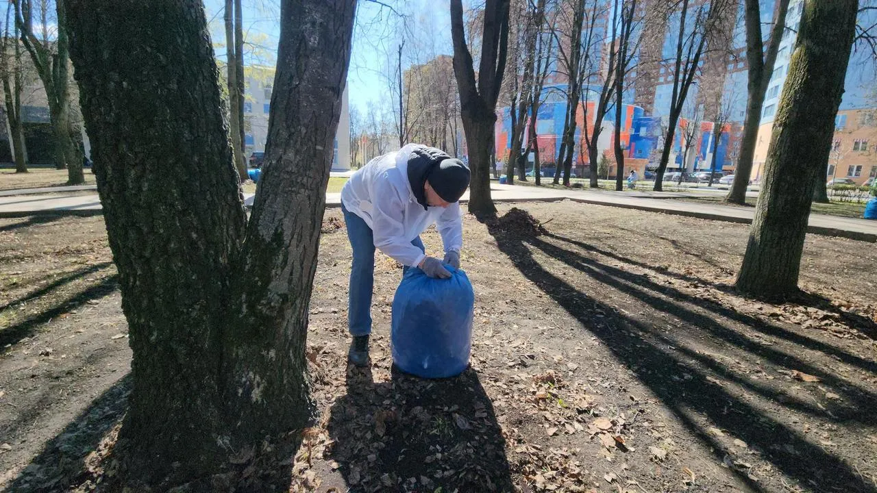 Картинка