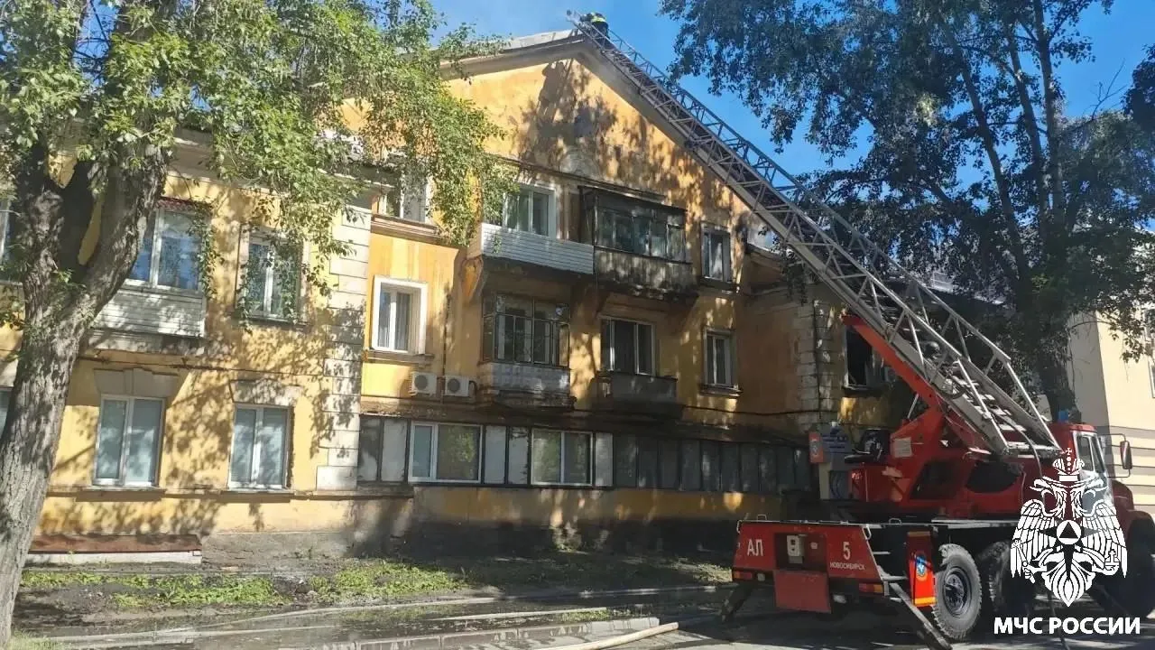 МЧС Новосибирской области / «Макс»