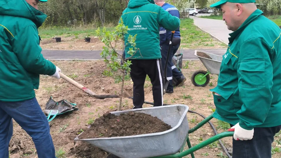 Фото: пресс-служба администрации Ленинского г.о.
