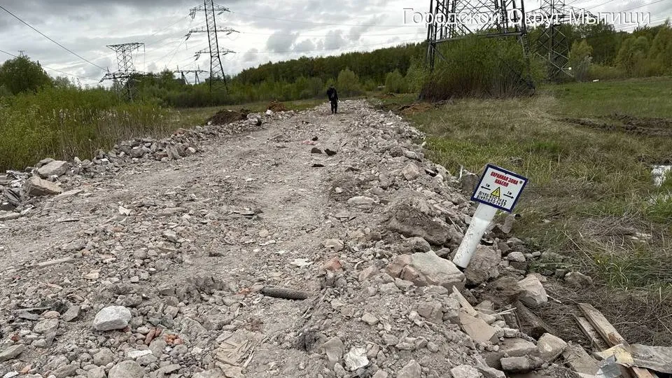 Фото: управление экологии городского округа Мытищи