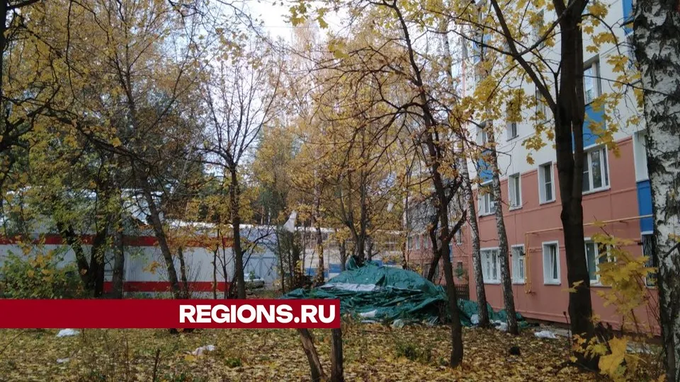 Фото предоставлено жительницей Жуковского