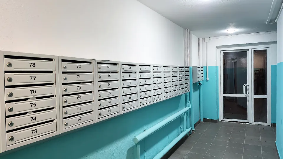 Фото: МедиаБанк Подмосковья/Ирина Моисеева