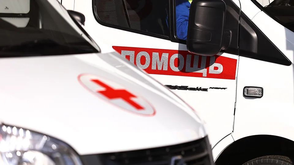 Фото: Издательство «Подмосковье»