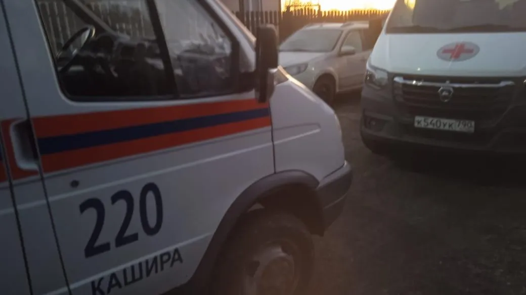 Картинка