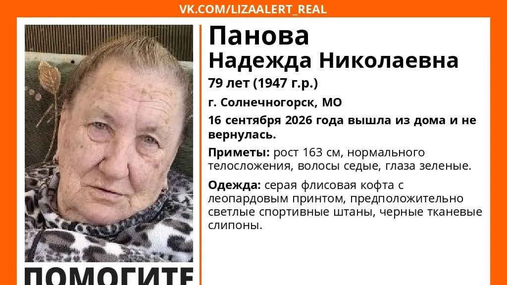 Как Найти Проститутку В Солнечногорске