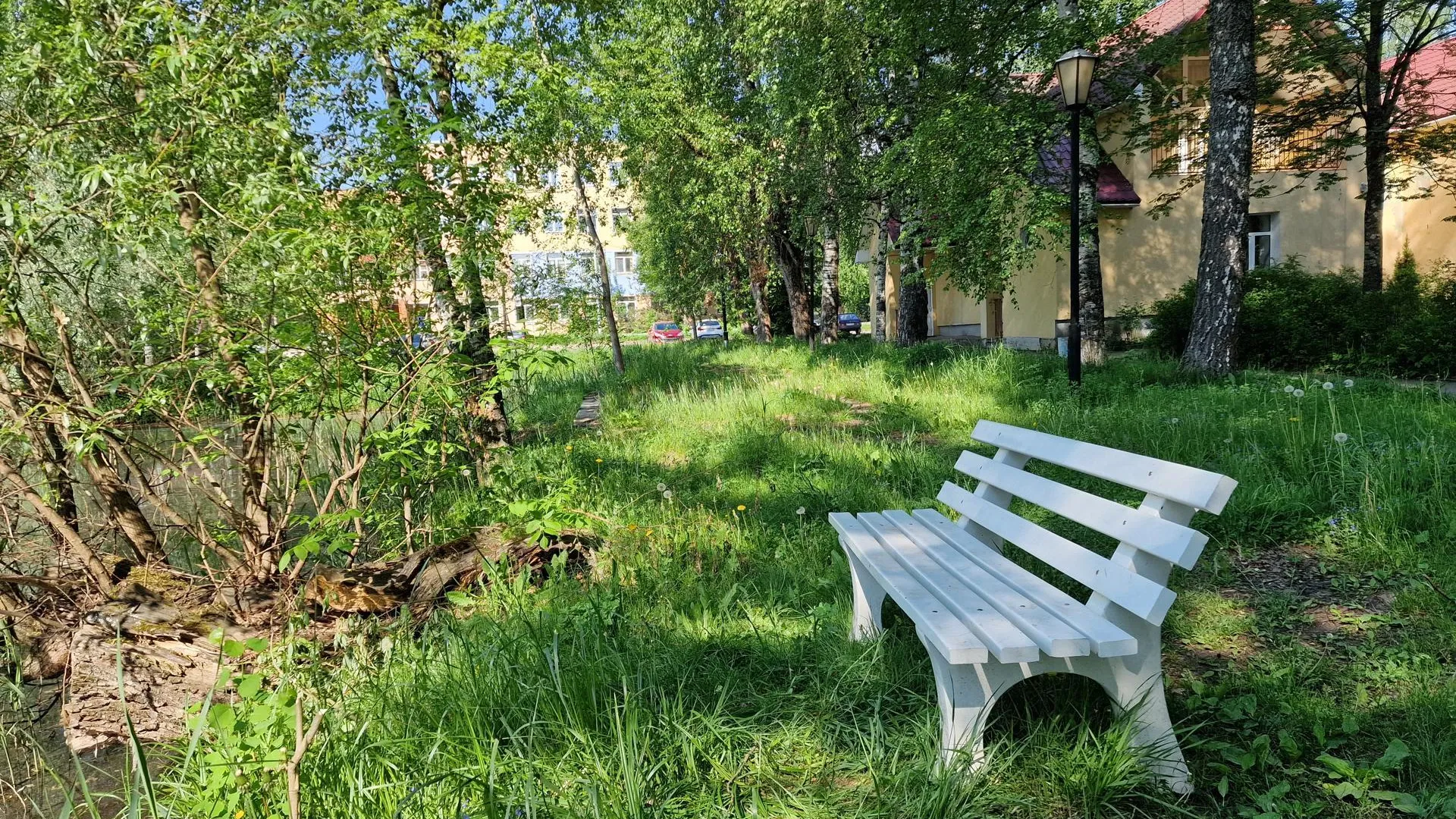 Картинка
