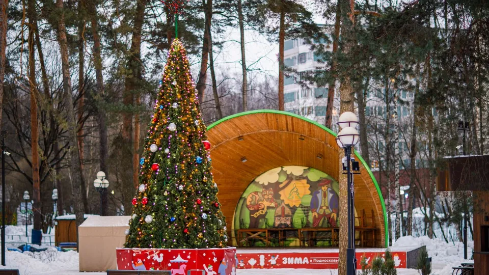 Фото: медиасток.рф