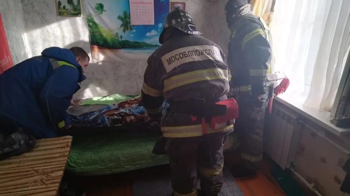 Картинка