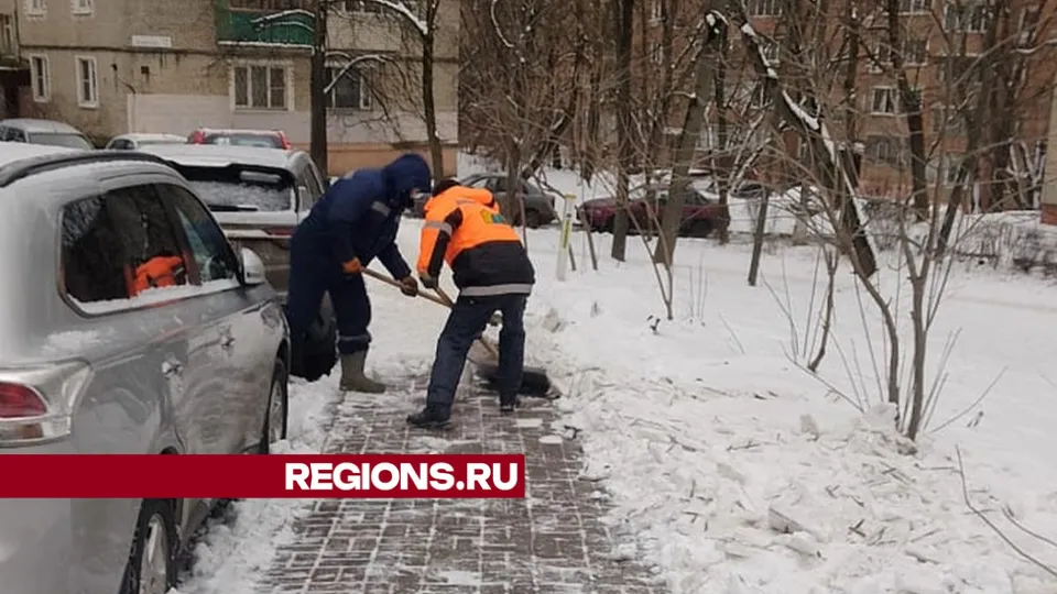 Фото: пресс-служба администрации г.о. Дзержинский
