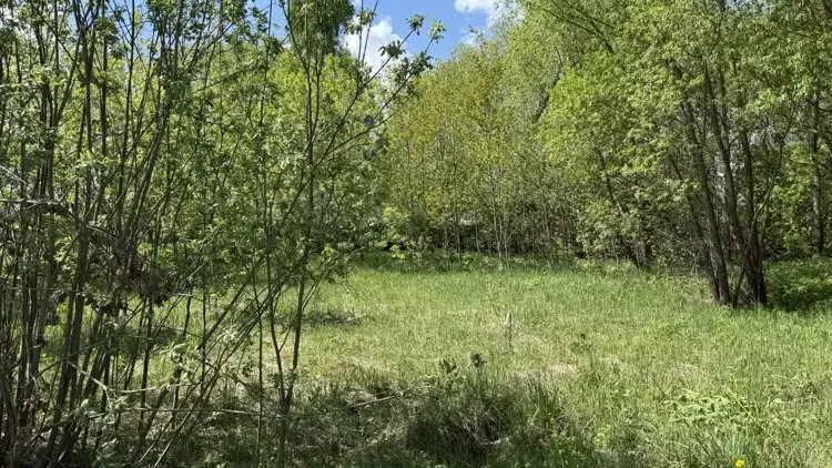 Участок с торгов в Серпухове