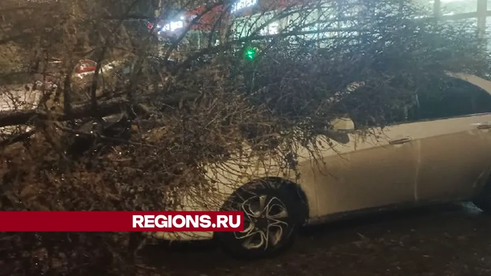 Фото: REGIONS/Юлия Павлова