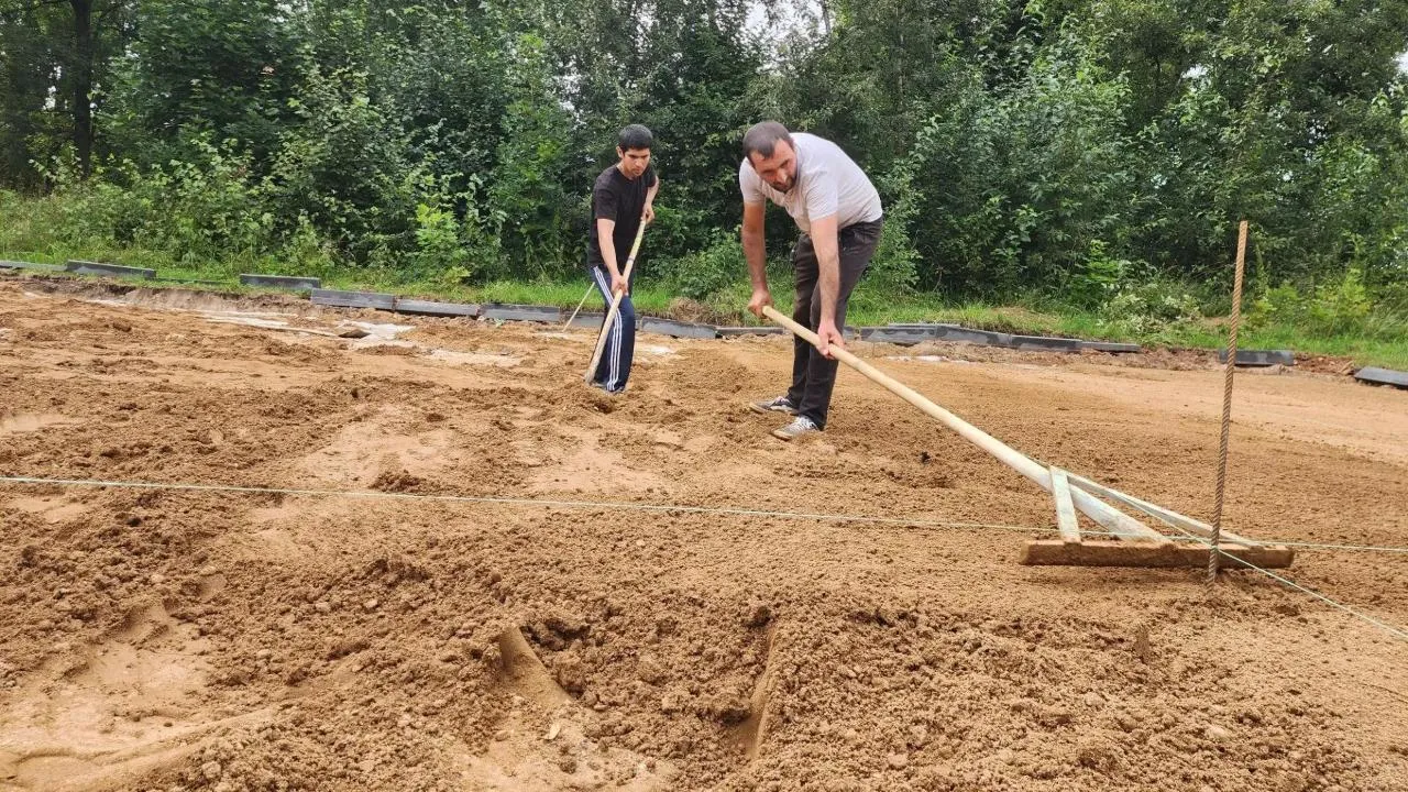 Картинка