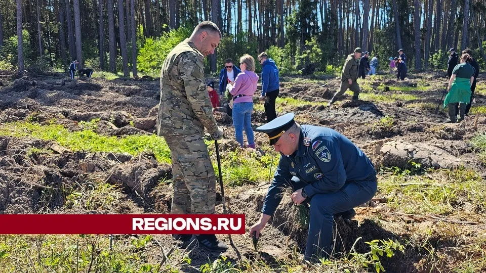 Фото: Александр Дрожжин