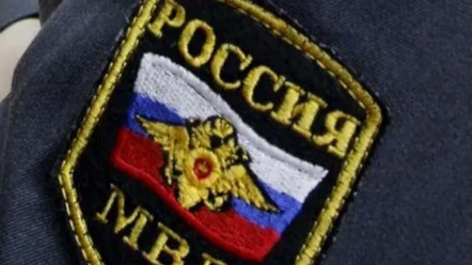 Фото: ГУ МВД России по Московской области
