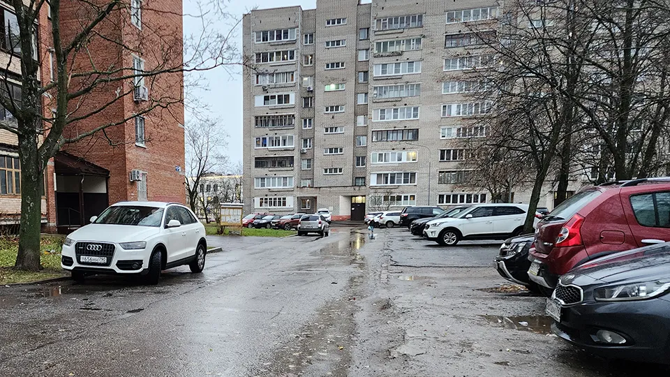 Фото: МедиаБанк Подмосковья/Иван Петрушин