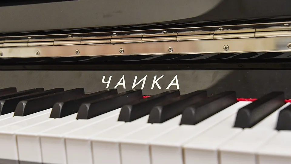 Фото: Наталья Бычкова