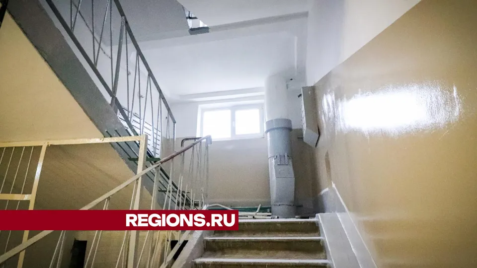 Фото: Данила Кирьянов