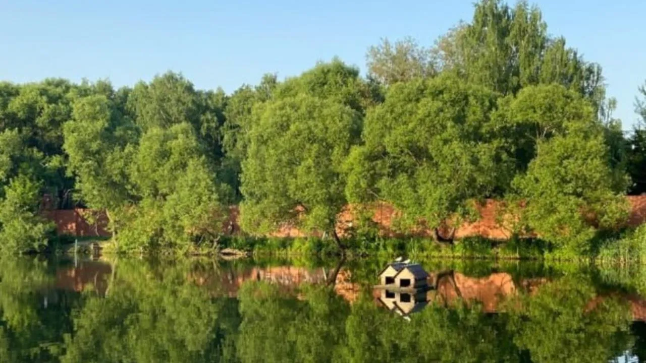 Картинка