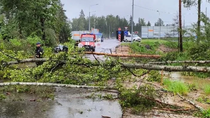 Фото: ГКУ МО «Мособлпожспас»