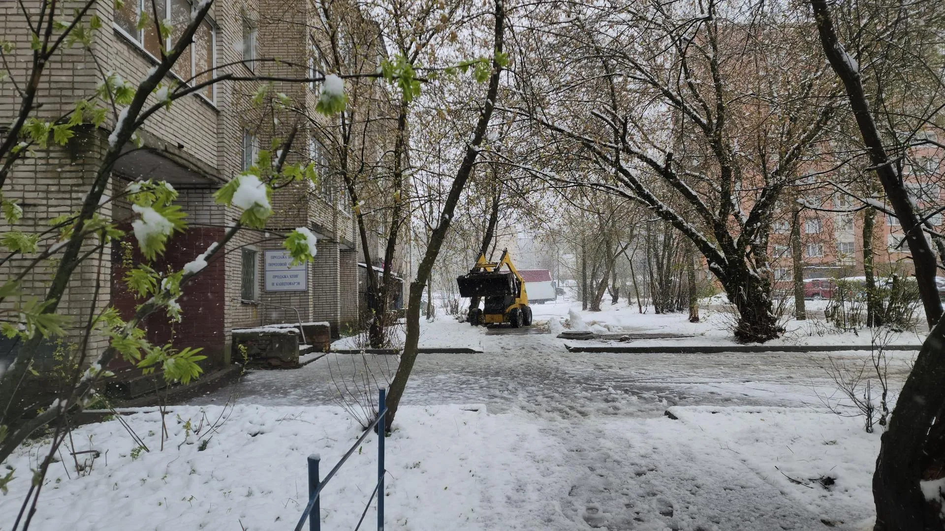 Картинка