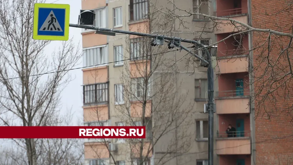 Фото: Алексей Грызлов
