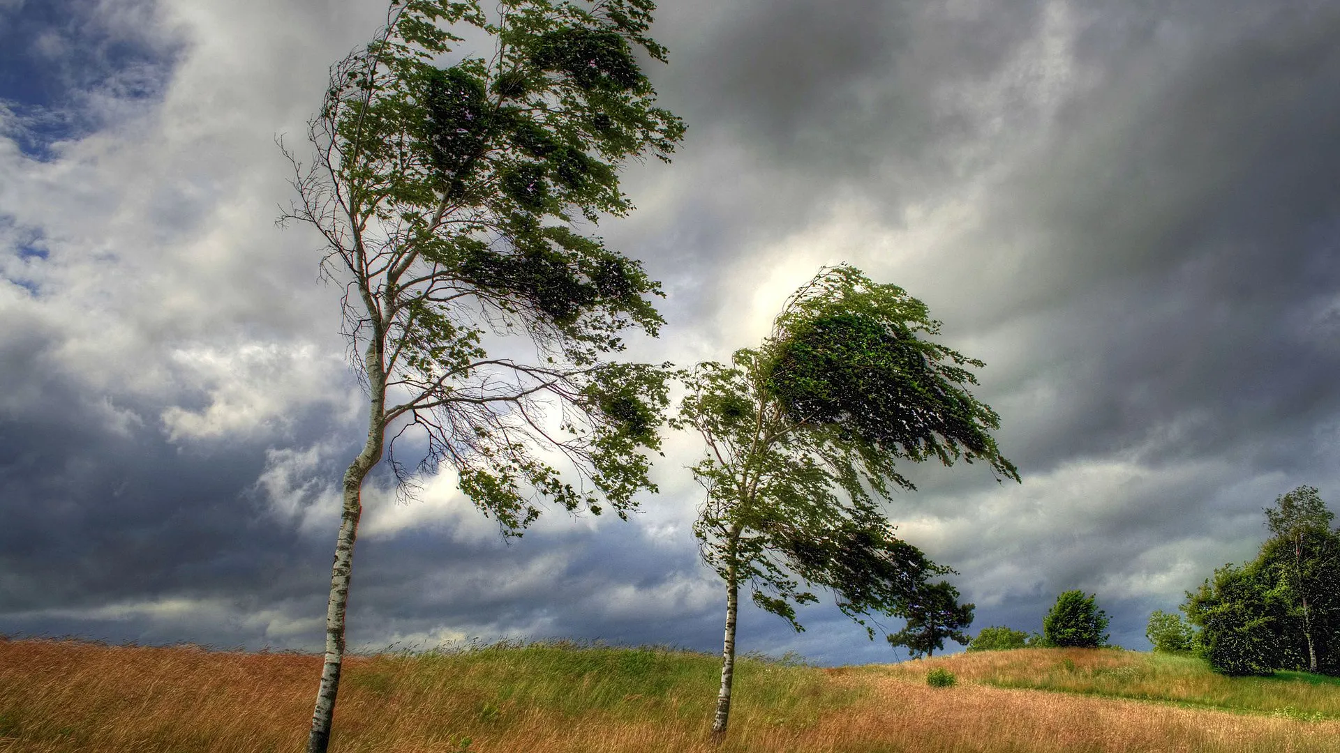 Фото: Freepik