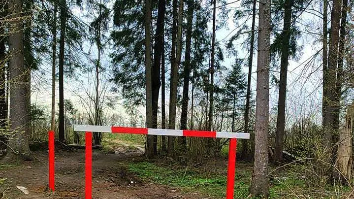 Фото: Комитет лесного хозяйства МО