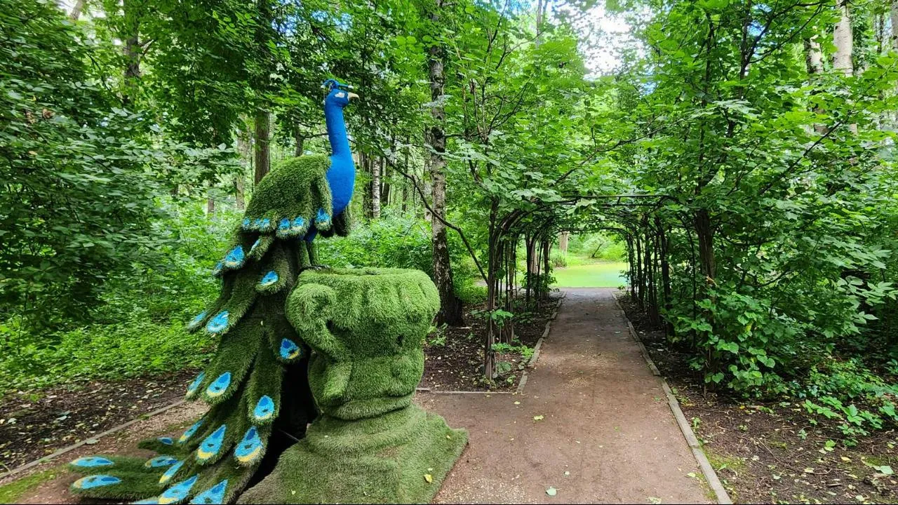 Картинка