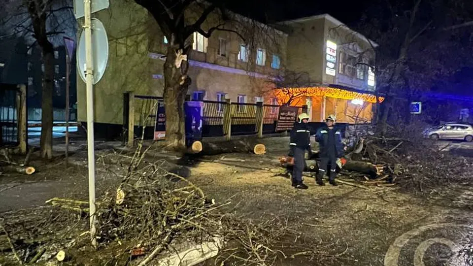 Фото: ПСО МУ «ЖАСО»