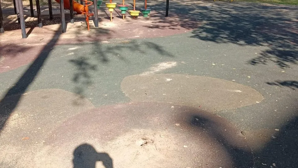 Фото: Администрация городского округа Лотошино