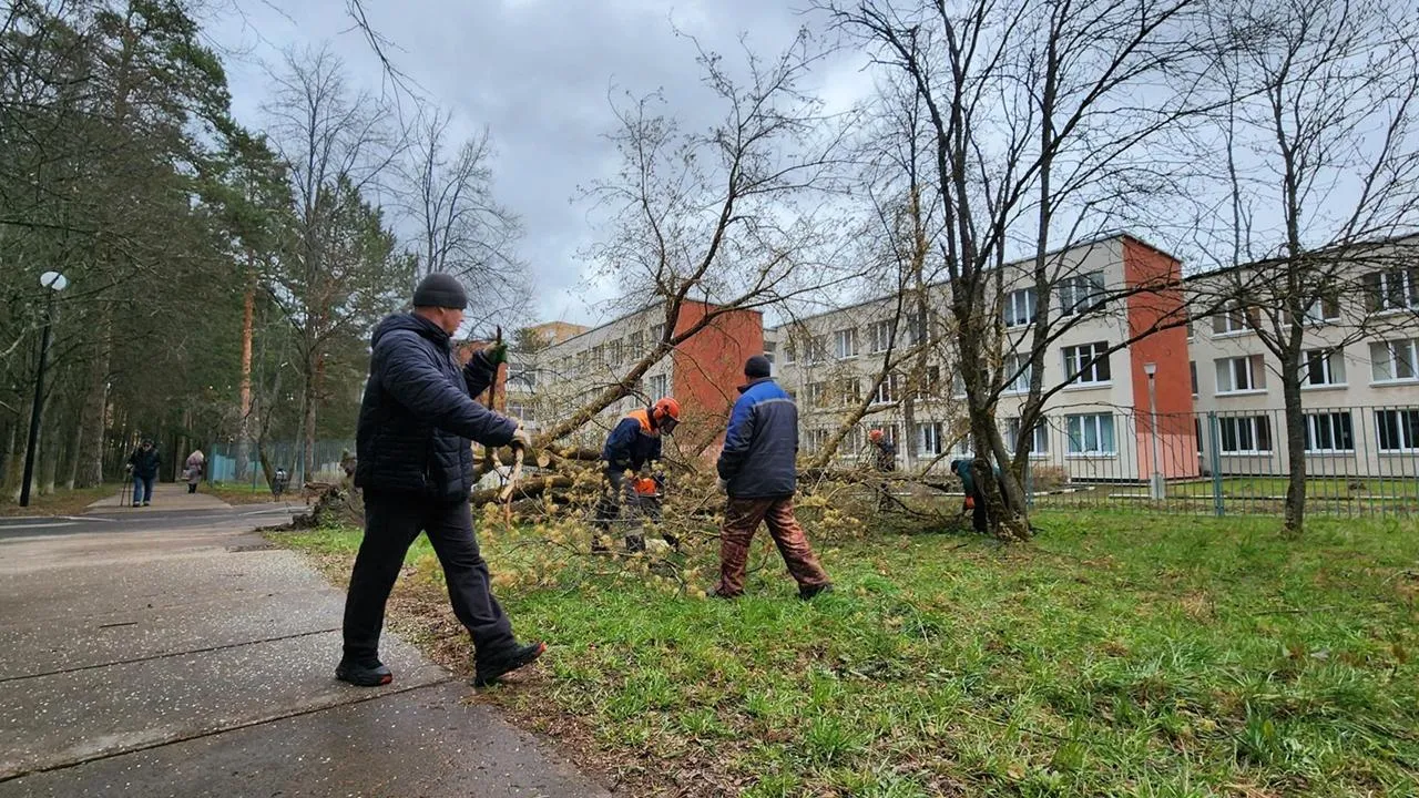 Картинка