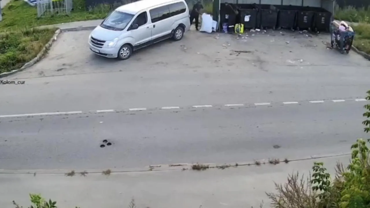 В Подмосковье зафиксировали более 450 фактов незаконного сброса отходов с начала октября