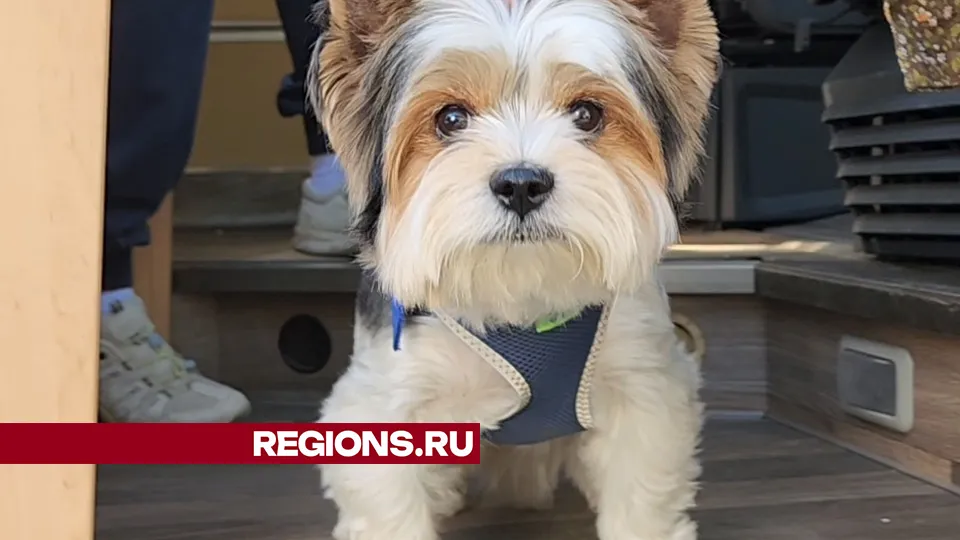 Фото: Андрей Семибратов