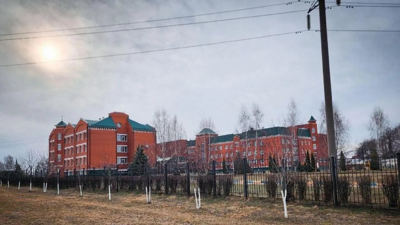 Картинка