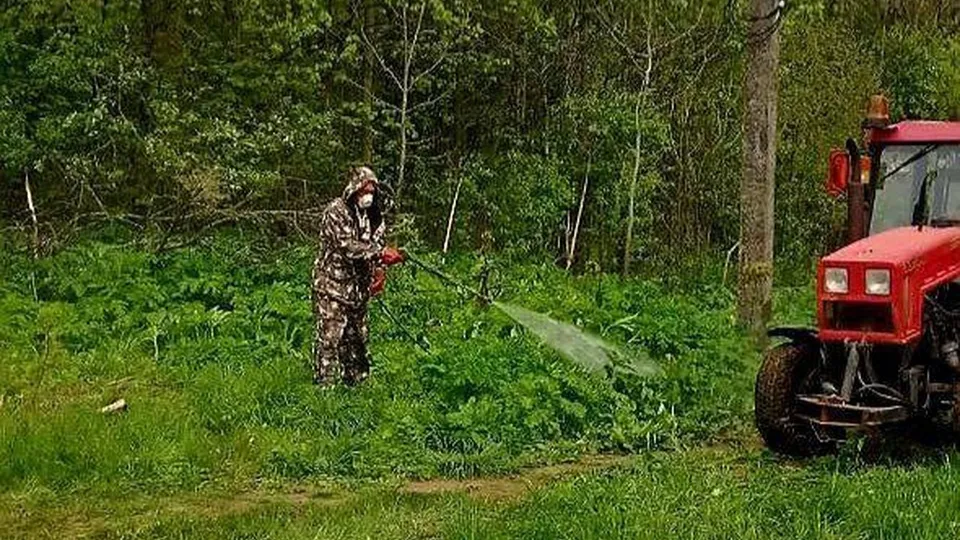 Фото: vk.com/Администрация городского округа Истра