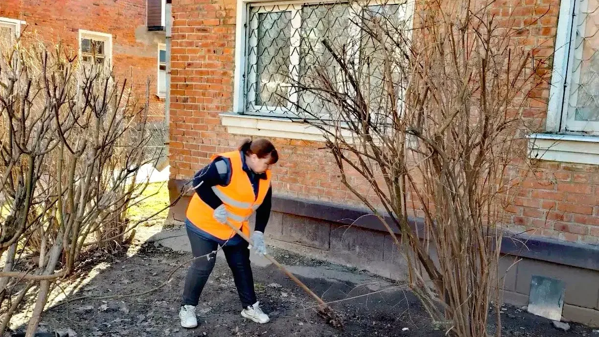 Картинка
