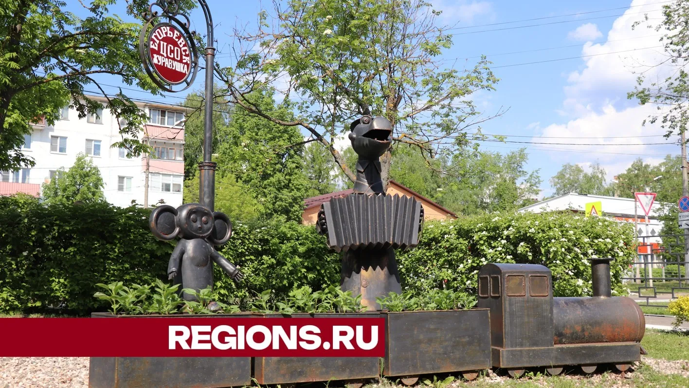 Фото: Василий Тремасов