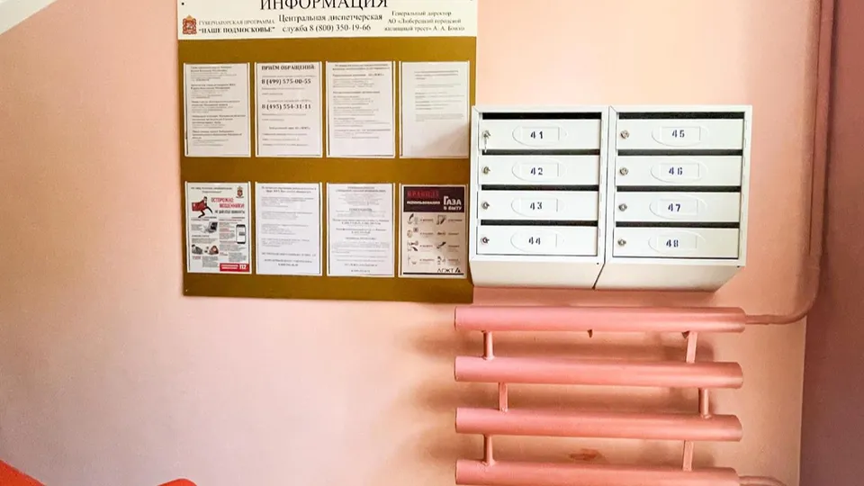 Фото: администрация городского округа Люберцы