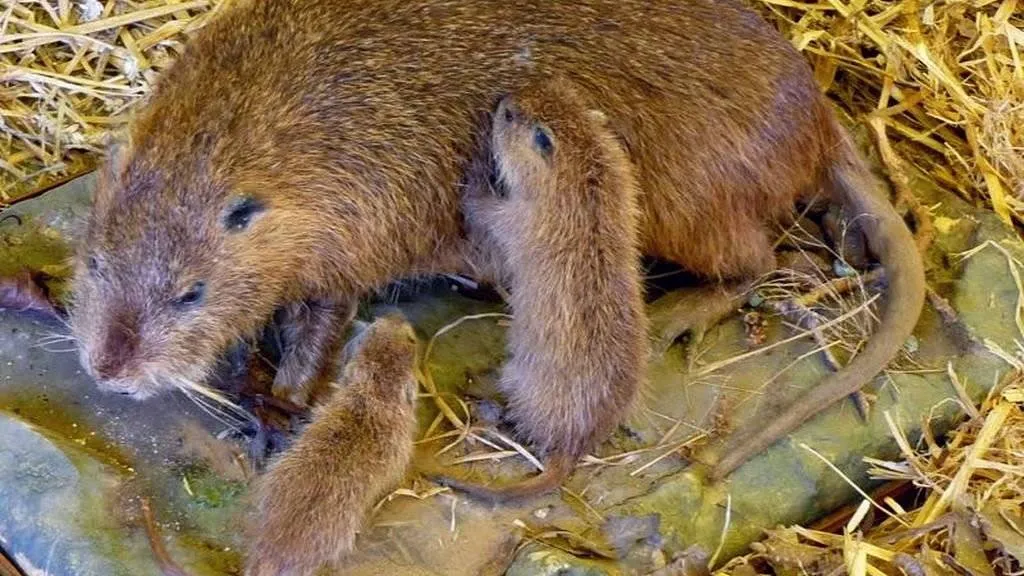 Фото: социальные сети<br>