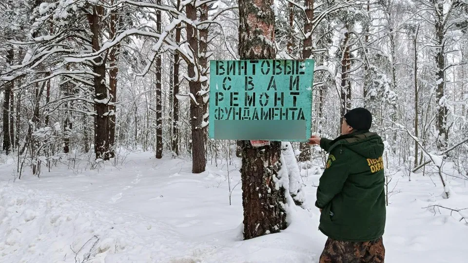 Фото: Комитет лесного хозяйства Московской области