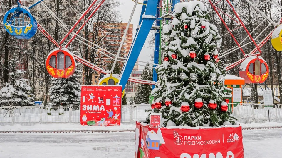 Фото: медиасток.рф