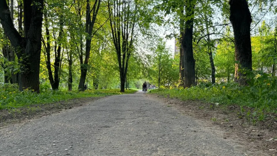 Фото: пресс-служба администрации Можайского городского округа