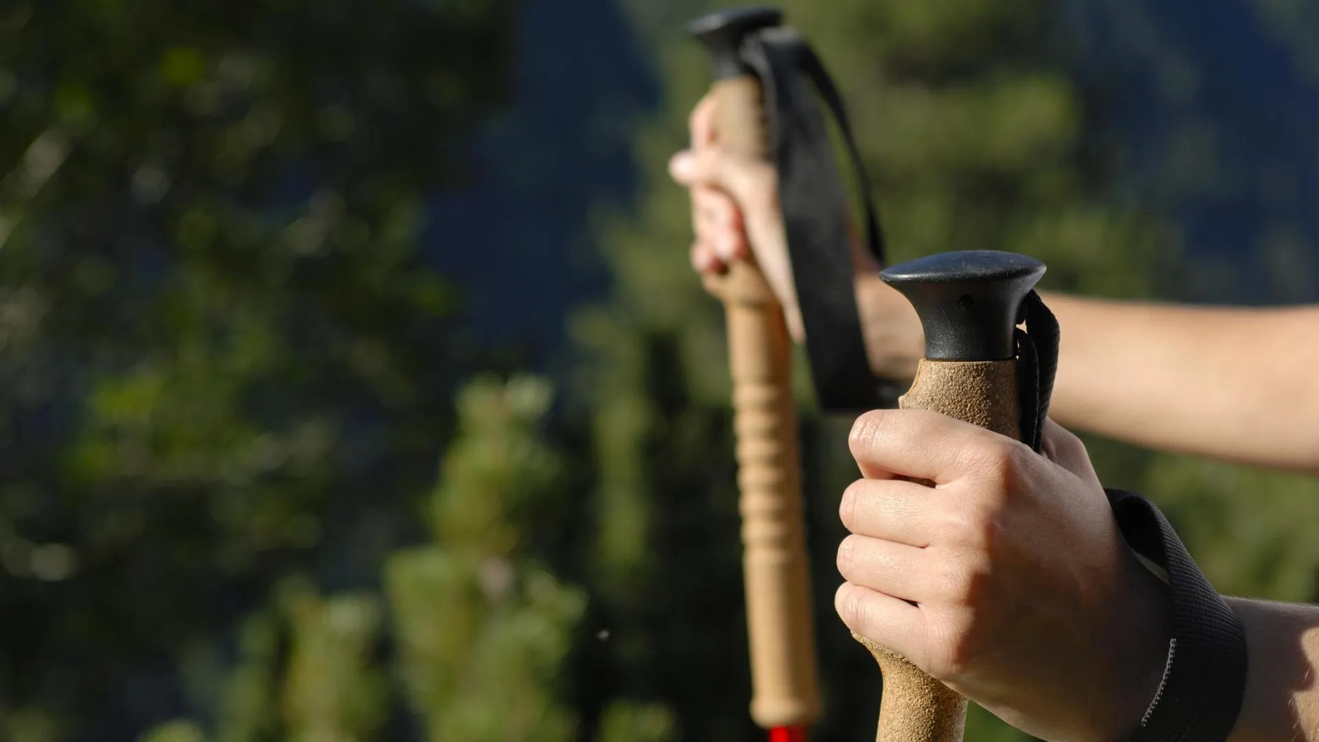 Martin Engelmann/http://imagebroker.com/#/search/Global Look Press