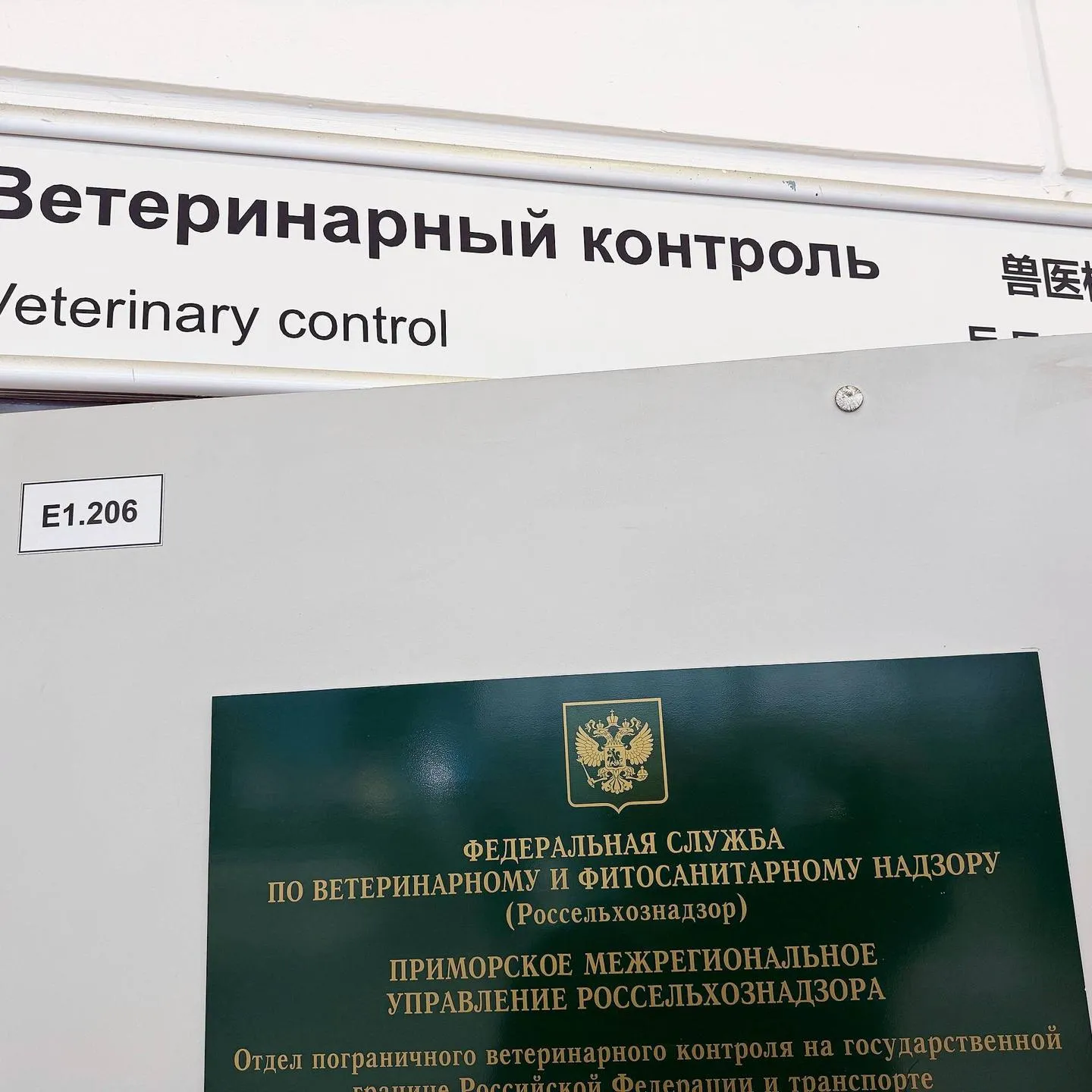 Парк львов ЗЕМЛЯ ПРАЙДА