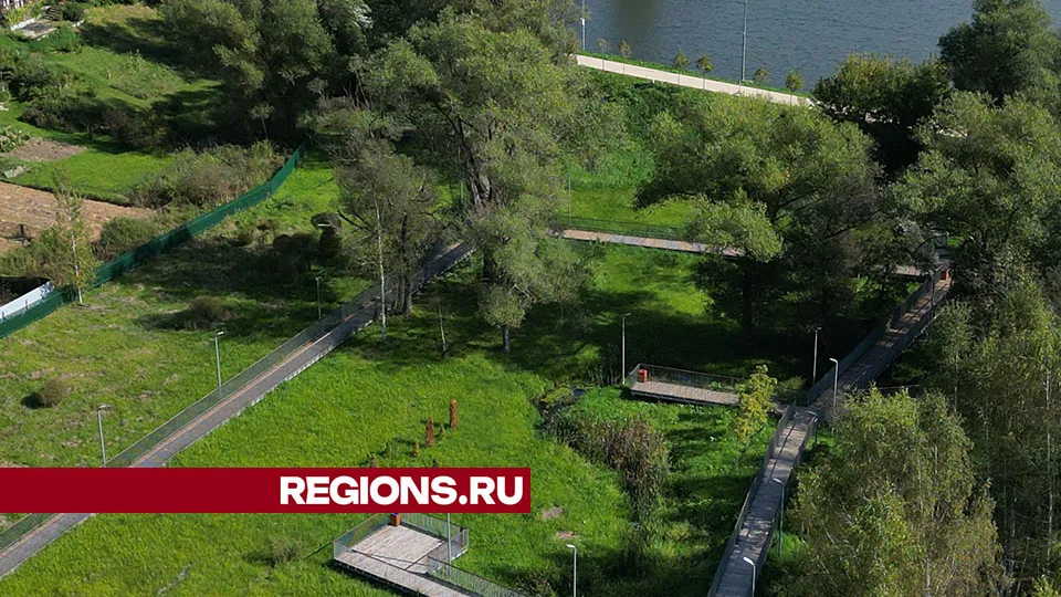Фото: Дмитрий Беденко