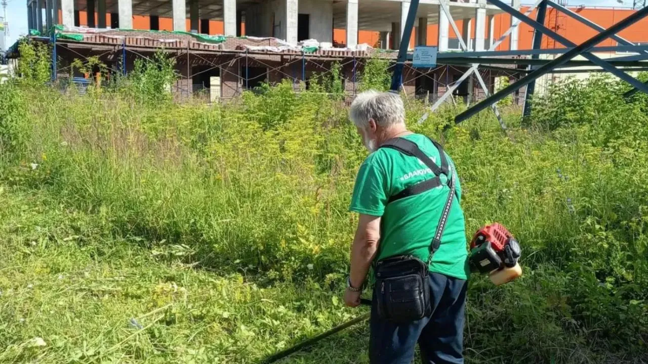 Картинка