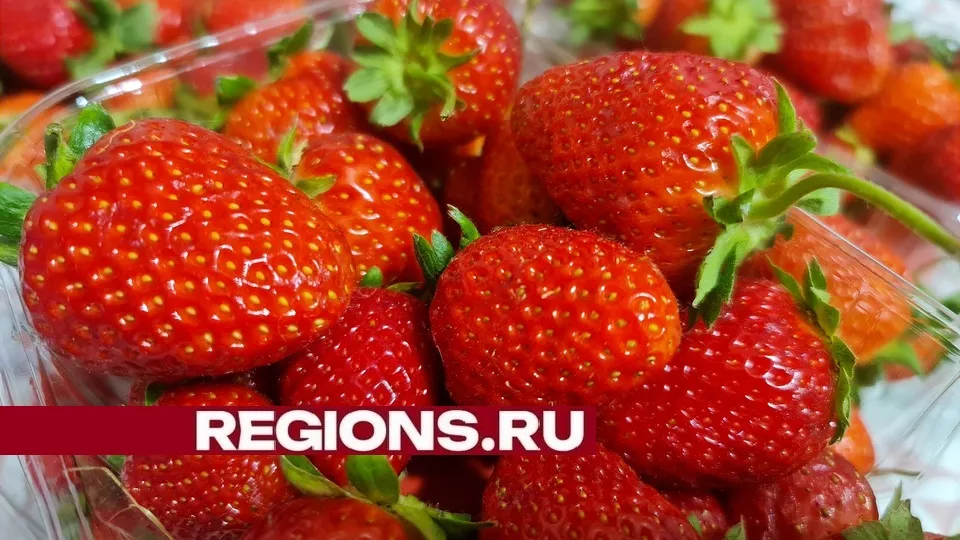 Фото: Александр Дрожжин