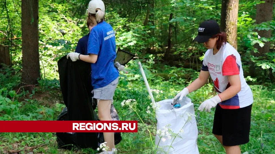Фото: REGIONS/Василий Тремасов
