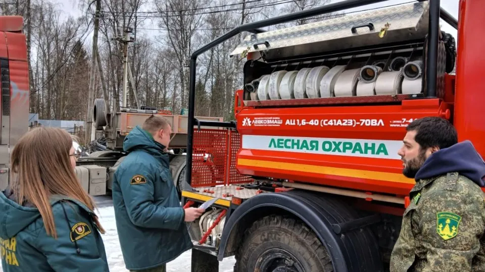 Фото: Комитет лесного хозяйства Московской области